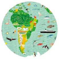 djeco megfigyelteto puzzle