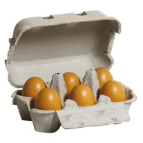 erzi tojasok tojastartoban