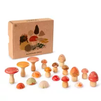 Grapat Mushroom Grove – Erdei gombák