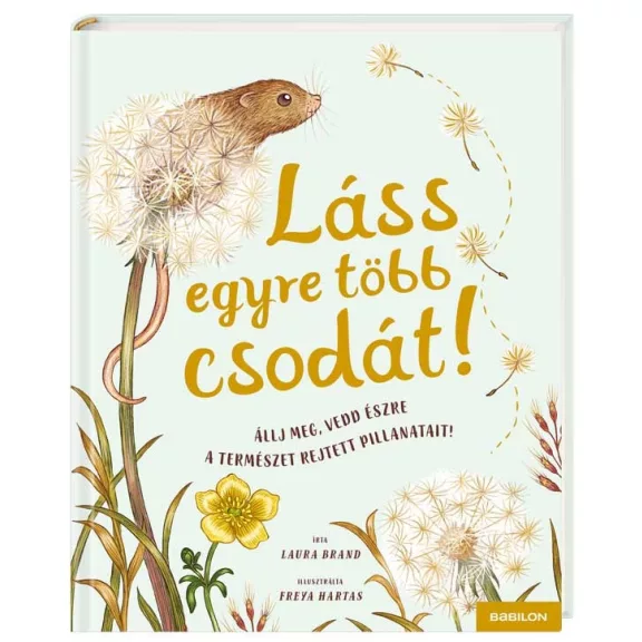 Láss egyre több csodát! Láss egyre több csodát!