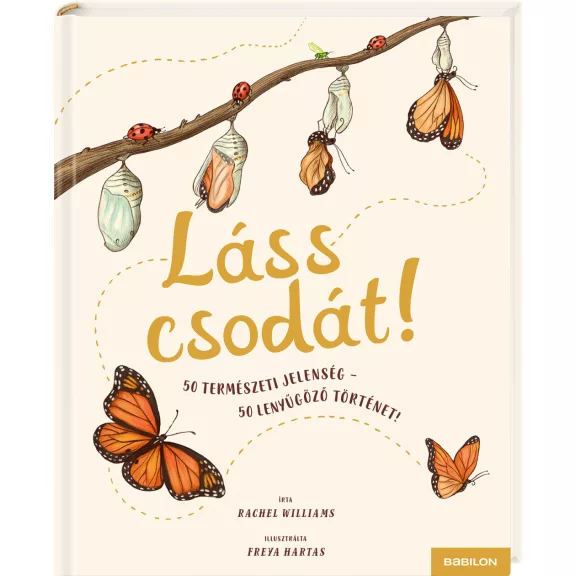 Láss csodát! Láss csodát!