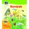 mi micsoda rovarok junior