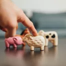 plantoys haziallatok szett