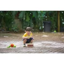 plantoys tomor dob plantoys tomor dob