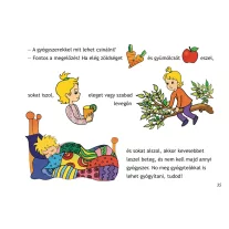 szokimondoka nulla hulladek