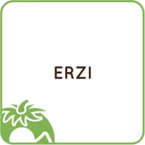 Erzi